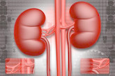Understanding Kidney Function Numbers and What They Mean