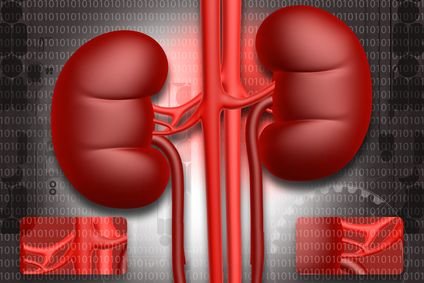 Explanation of Some of the Most Common Kidney Diseases