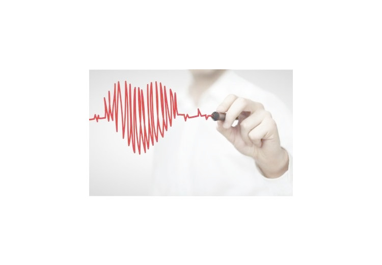Coronary arteries and the risk of heart attack