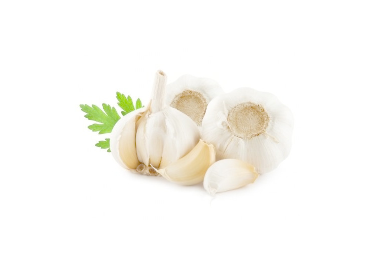 Overview Of Medicinal Uses Of Garlic