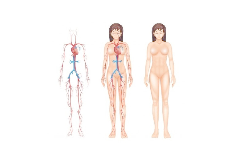 Takayasuova arteritida: příčiny, příznaky, diagnostika a léčba