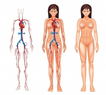 Takayasuova arteritida: příčiny, příznaky, diagnostika a léčba