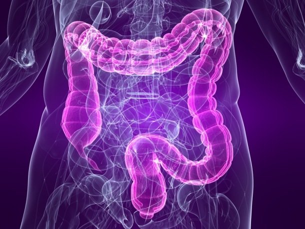 Syndrome du colon irritable: causes, symptômes, diagnostic et traitements