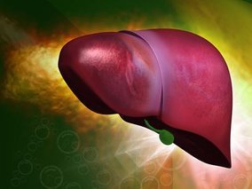 Liver blood test results explained