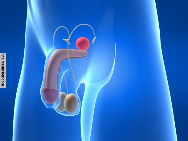 La prostatite: causes, symptômes, diagnostic et traitements
