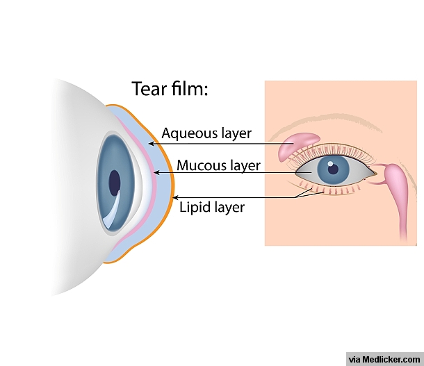 Tear Film Composition