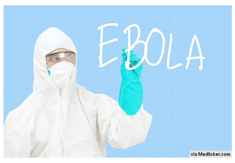 Proti Ebole možná budeme moci využít již existující léky