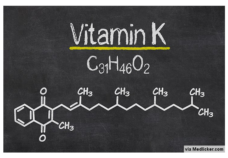 Vitamine K: sources alimentaires, fonctions, effets secondaires et dosage quotidien
