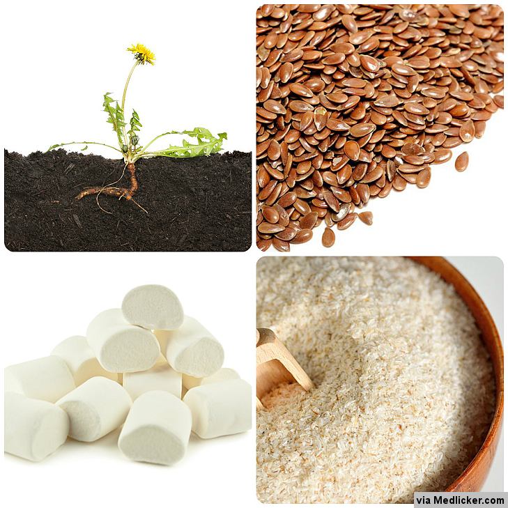 Herbal remedies for constipation (1) - Flaxseeds, Dandelion Root, Psyllium, Senna