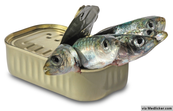 Health Benefits of Sardines