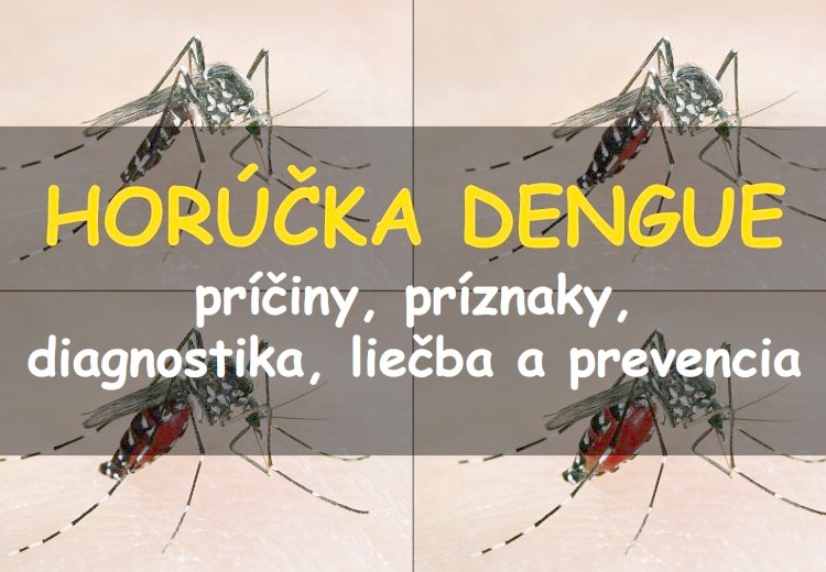 Horúčka Dengue