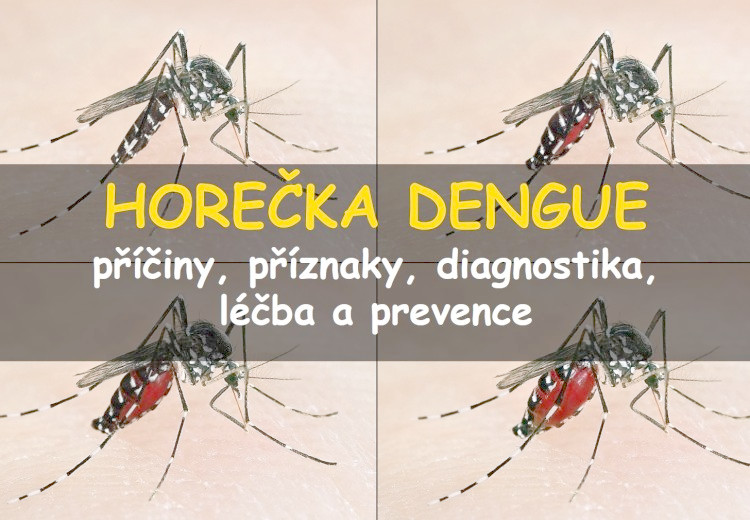 Horečka dengue