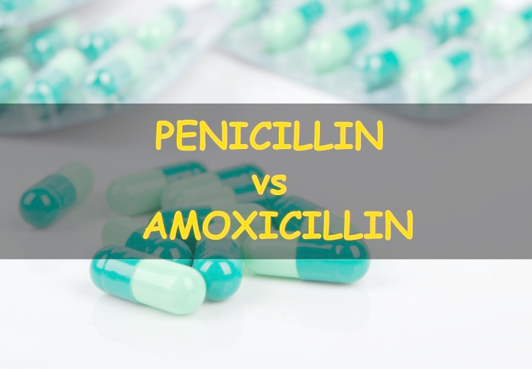 Penicillin vs Amoxicillin