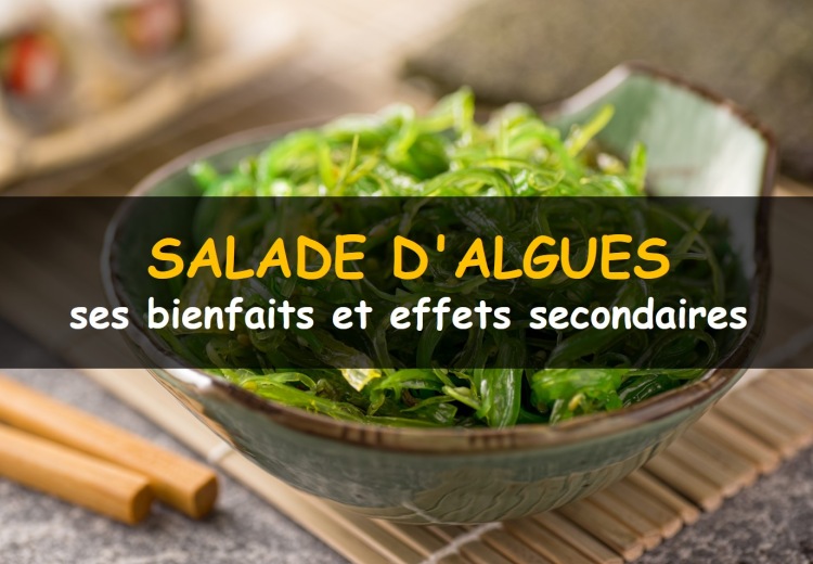 Les bienfaits et effets secondaires de la salade d'algues