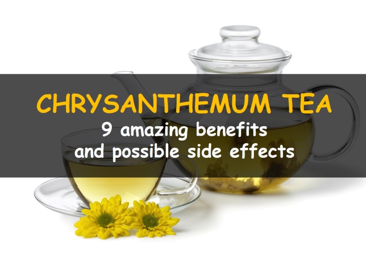 Benefits and side effects Of Chrysanthemum Tea