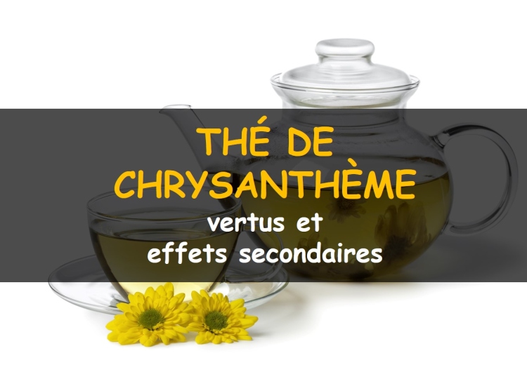 Les avantages (et effets secondaires) du thé de chrysanthème