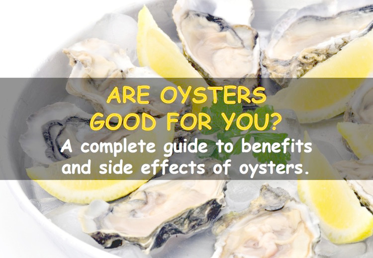 Are oysters good for you?