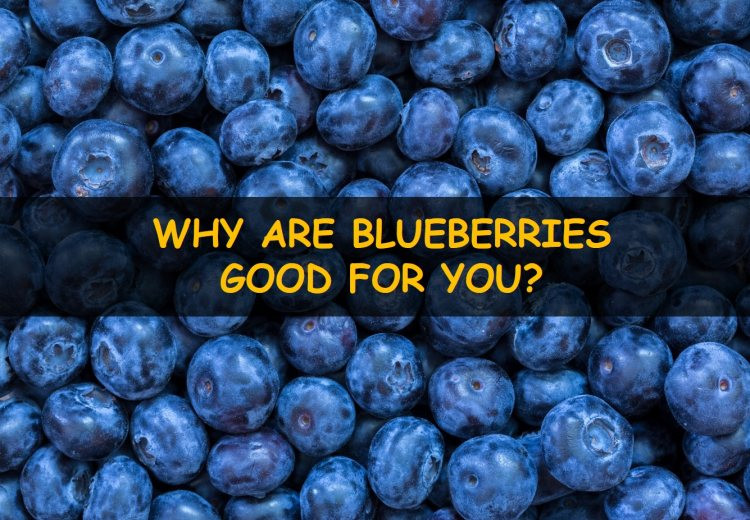 Why are blueberries good for you?