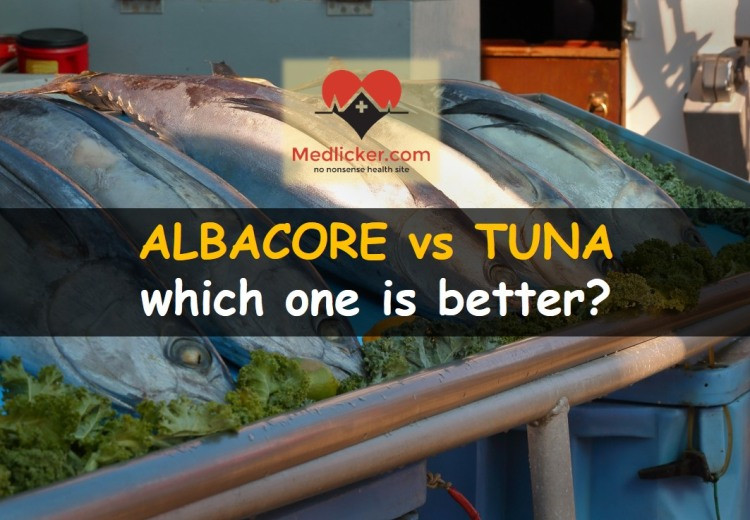 Albacore vs tuna
