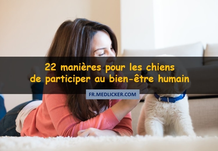22 manières pour les chiens, de participer au bien-être humain