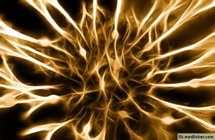sieť nervových buniek