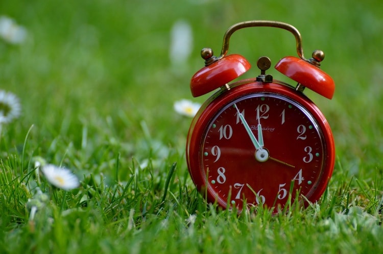 Alarm clock on grass