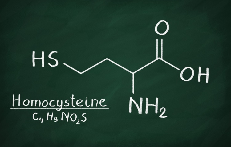 Homocystéine - structure chimique