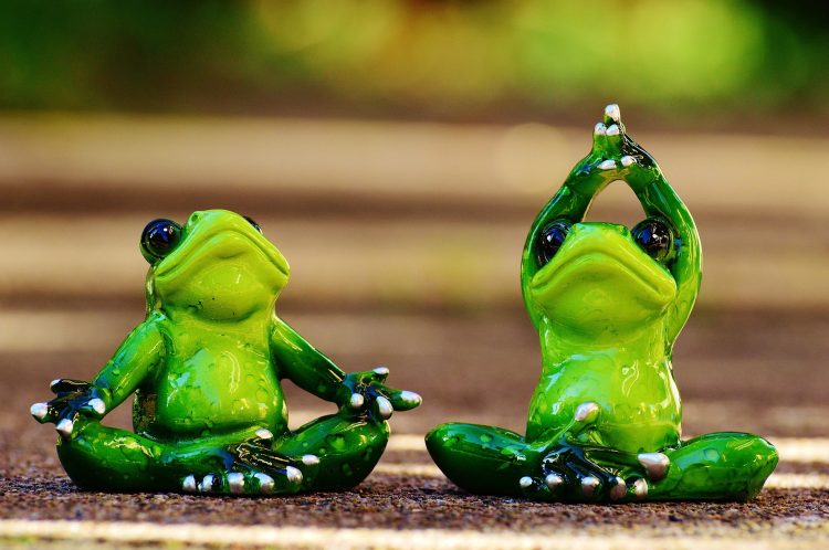 Žáby cvičí jógu