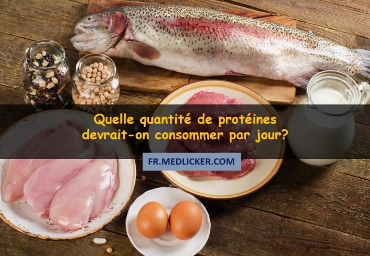 L'apport en protéines – Quelle quantité de protéines devrait-on consommer par jour?