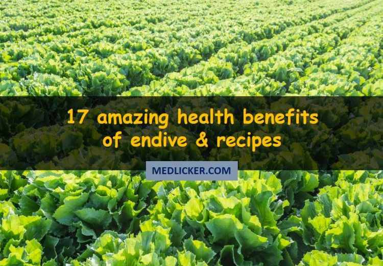 17 Unknown Benefits of Endive