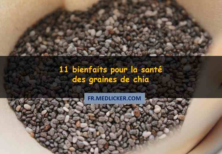 11 bienfaits pour la santé des graines de chia
