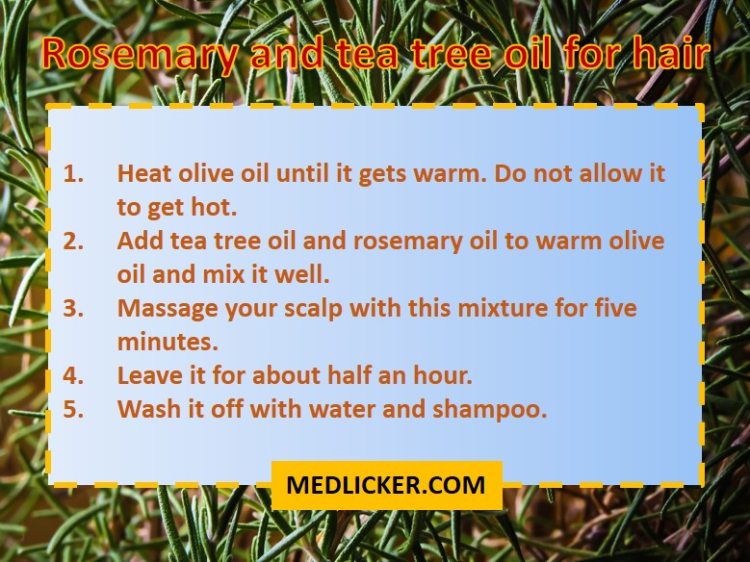 Rosemary and tea tree oil for hair care