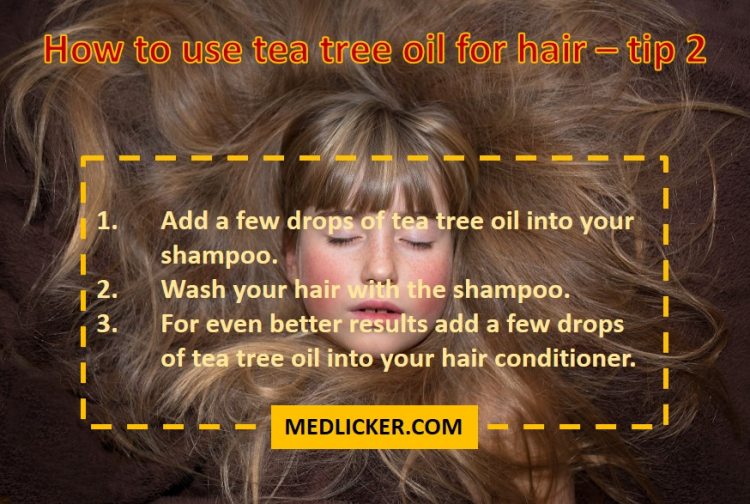 How to use tea tree oil with hair shampoo?