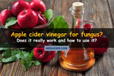 How to Use Apple Cider Vinegar in Treatment of Fungal Infections?