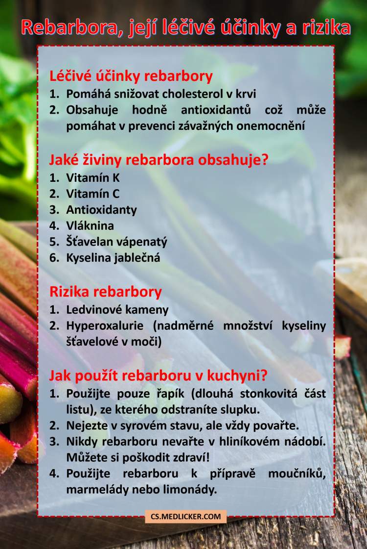 Léčivé účinky rebarbory, její rizika a použití