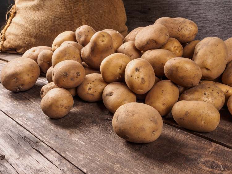 Potatoes are high in phosphorus and other essential nutrients