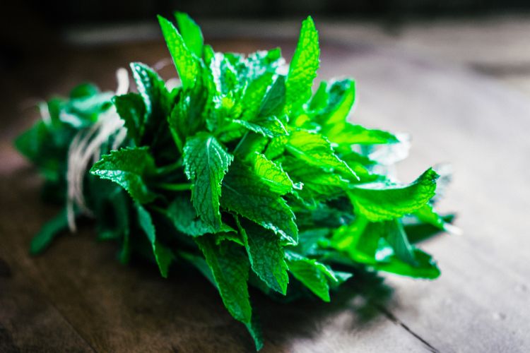 Fresh peppermint leaves are high in vitamin A