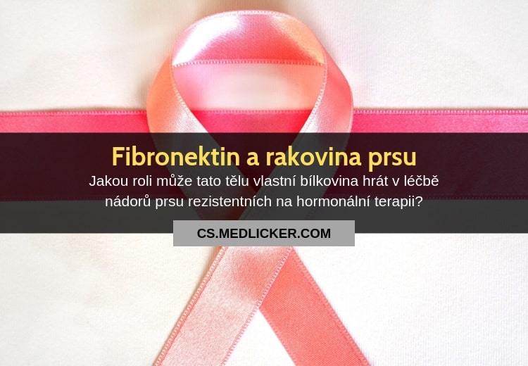 Fibronektin se může stát klíčem k léčbě rakoviny prsu, která nereaguje na hormonální léčbu