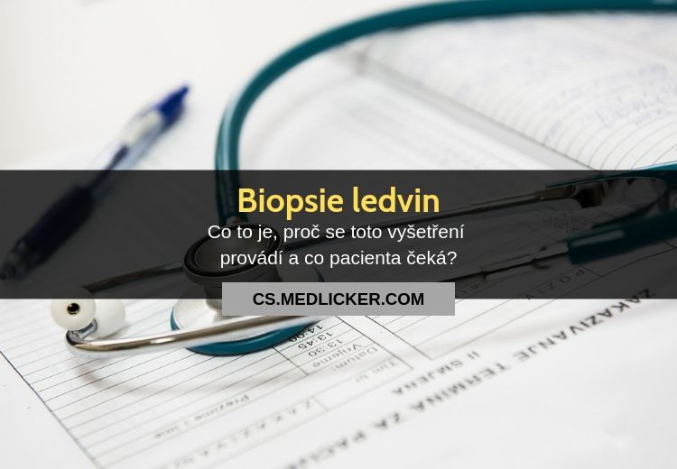 Biopsie ledvin