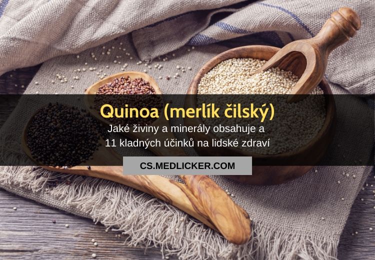 Co je quinoa (merlík čilský), jak jí uvařit a jaké jsou její zdravotní účinky a nutriční hodnoty?