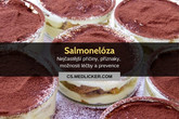 Salmonelóza (salmonela): vše co potřebujete vědět