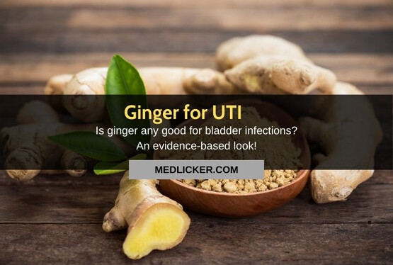 Ginger for UTI: is it any good? The evidence based look!