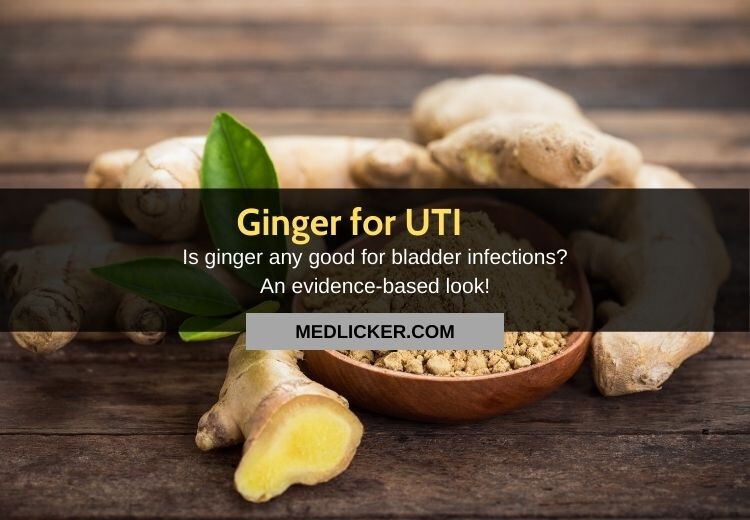 Ginger for UTI: is it any good? The evidence based look!