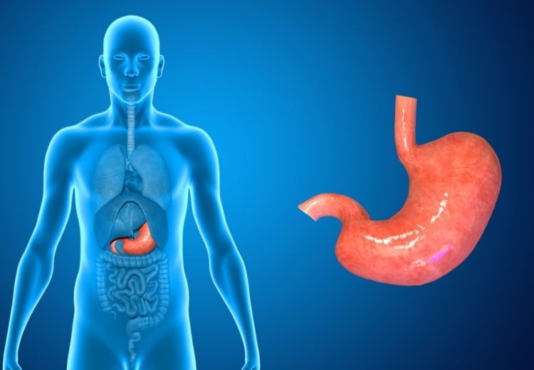 Dumping syndrom se může rozvinout jako komplikace po operacích žaludku (totální a parciální gastrektomie nebo žaludeční bypass) či jícnu
