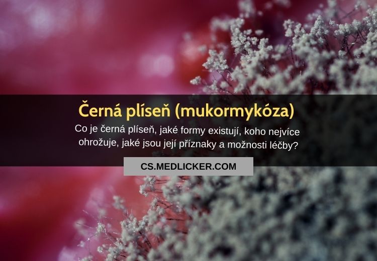Mukormykóza (černá plíseň): vše co potřebujete vědět