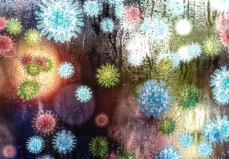 Nejčastějšími původci zánětu nosohltanu jsou rhinoviry, ale nachlazení může způsobit více než 200 různých druhů virů