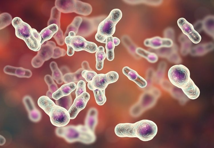 Post-antibiotické průjmy způsobené přemnožením baktérií Clostridioides (Clostridium) difficile vyžadují speciální antibiotickou a podpůrnou léčbu