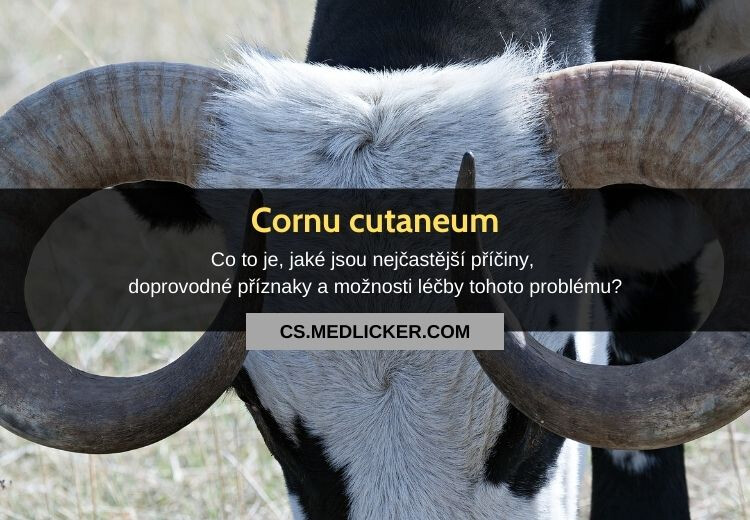 Co je cornu cutaneum, jak vypadá a jaká je jeho léčba?
