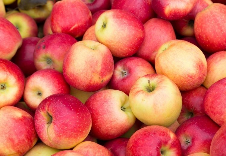 Pri liečbe histamínovej intolerancie je potrebné vyhýbať sa ovociu s vysokým obsahom histamínu, ako sú citrusové plody alebo jahody. Na druhej strane jablká obsahujú málo histamínu a sú tak vhodnou náhradou.