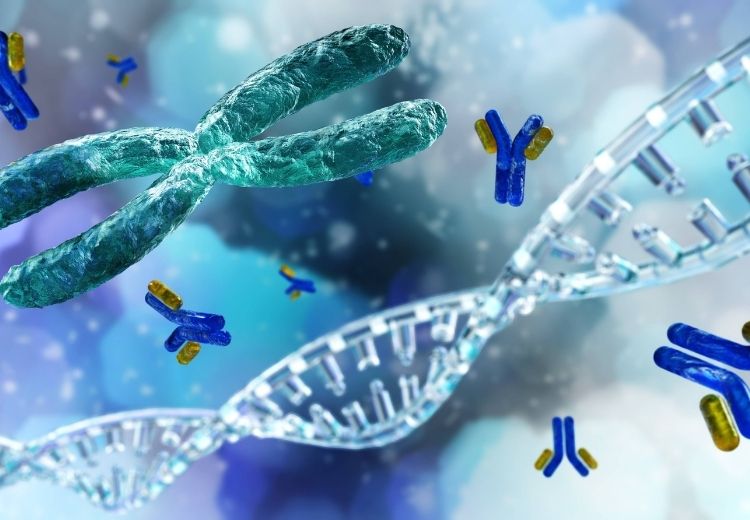 Chromozomy jsou bloky genů typického tvaru, které najdeme v jádrech všech buněk. Jejich neobvyklé strukturální změny označujeme jako chromozomové aberace.